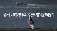 企業(yè)所得稅核定征收利潤率（企業(yè)所得稅核定征收）