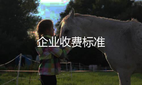 企業收費標準