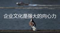 企業文化是強大的向心力 板材企業要重視