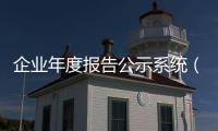企業年度報告公示系統（企業年度報告）