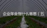 企業年金指什么意思（五金指什么）