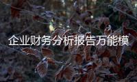 企業財務分析報告萬能模板（企業財務分析）