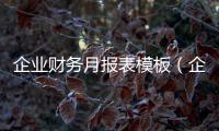 企業財務月報表模板（企業財務報表模板）