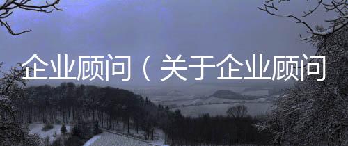 企業顧問（關于企業顧問的基本情況說明介紹）