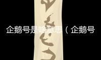 企鵝號是啥意思（企鵝號是什么意思）