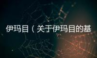 伊瑪目（關于伊瑪目的基本情況說明介紹）