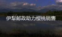 伊犁郵政助力櫻桃銷售