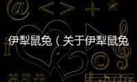 伊犁鼠兔（關于伊犁鼠兔的基本情況說明介紹）