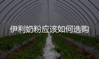 伊利奶粉應該如何選購