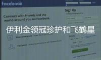 伊利金領冠珍護和飛鶴星飛帆哪個更適合寶寶喝？