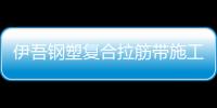 伊吾鋼塑復合拉筋帶施工方案