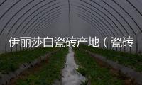 伊麗莎白瓷磚產地（瓷磚產地）