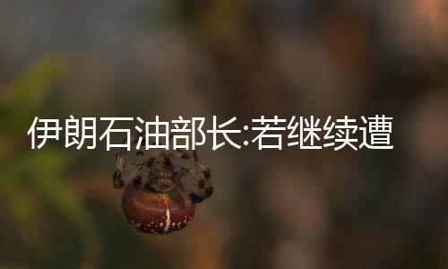 伊朗石油部長:若繼續遭遇制裁則可能停止原油出口