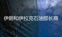 伊朗和伊拉克石油部長商討加強(qiáng)兩國能源領(lǐng)域合作