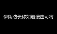 伊朗防長稱如遭襲擊可將以色列送入“永久昏迷”