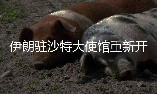 伊朗駐沙特大使館重新開館