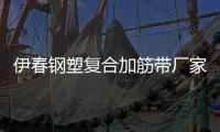 伊春鋼塑復合加筋帶廠家電話