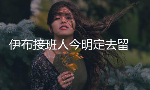 伊布接班人今明定去留 國米失意中人獲補償