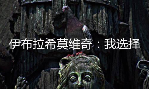 伊布拉希莫維奇：我選擇 我喜歡！