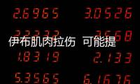 伊布肌肉拉傷  可能提前結束2006年