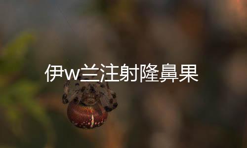 伊w蘭注射隆鼻果