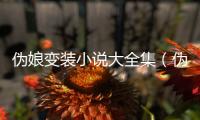 偽娘變裝小說大全集（偽娘變裝小說大全）