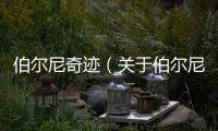 伯爾尼奇跡（關于伯爾尼奇跡的基本情況說明介紹）