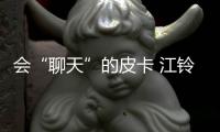 會“聊天”的皮卡 江鈴新域虎官圖/16日首發