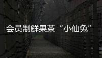 會員制鮮果茶“小仙兔”獲千萬元天使輪融資 擬用于樣板店建設等