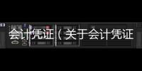 會(huì)計(jì)憑證（關(guān)于會(huì)計(jì)憑證的基本情況說明介紹）