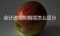 會計進項和銷項怎么區分（會計中的進項和銷項是什么意思）