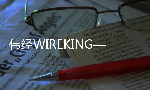 偉經WIREKING——實用的家居收納,讓房子充滿了愛與溫馨