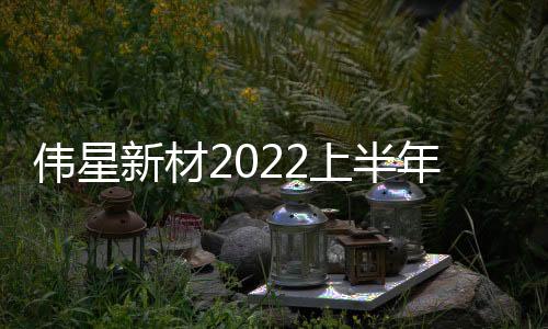 偉星新材2022上半年:凈利下降超一成、新業(yè)務(wù)成效顯著