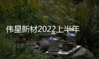 偉星新材2022上半年:凈利下降超一成、新業務成效顯著