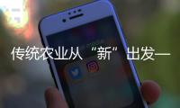 傳統(tǒng)農(nóng)業(yè)從“新”出發(fā)——湖北農(nóng)業(yè)生產(chǎn)一線見(jiàn)聞