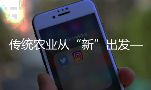 傳統(tǒng)農(nóng)業(yè)從“新”出發(fā)——湖北農(nóng)業(yè)生產(chǎn)一線見聞