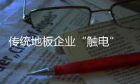 傳統(tǒng)地板企業(yè)“觸電” 執(zhí)行力是改革關(guān)鍵