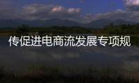 傳促進(jìn)電商流發(fā)展專項(xiàng)規(guī)劃進(jìn)入會(huì)簽階段 近期出臺(tái)