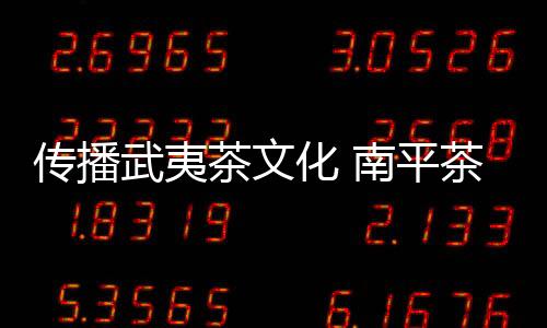 傳播武夷茶文化 南平茶青聯(lián)抱團(tuán)參加98茶展