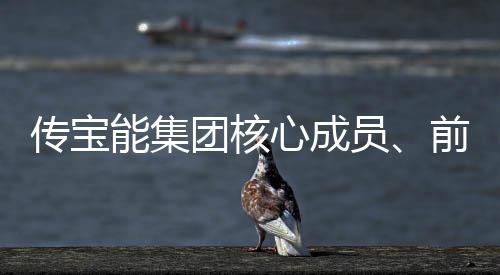 傳寶能集團核心成員、前海財險董事長黃煒被查