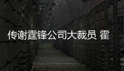 傳謝霆鋒公司大裁員 霍汶希:縮減香港業(yè)務【娛樂新聞】風尚中國網