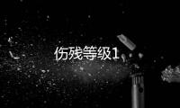 傷殘等級(jí)1