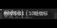 傷殘等級1（10賠償標(biāo)準(zhǔn)）