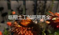 臨翔土工加筋帶齊全