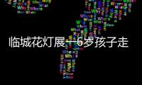 臨城花燈展一6歲孩子走失民警幫找回