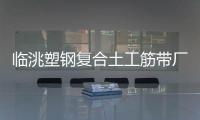 臨洮塑鋼復(fù)合土工筋帶廠家采購(gòu)供應(yīng)