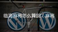 臨海麻將怎么算胡（麻將怎么算胡）