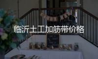 臨沂土工加筋帶價格