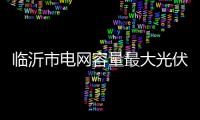 臨沂市電網容量最大光伏電站成功并網發電
