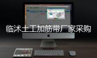 臨沭土工加筋帶廠家采購供應